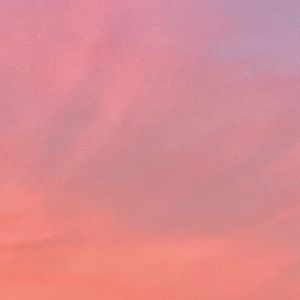 Meet your Posher, Ali